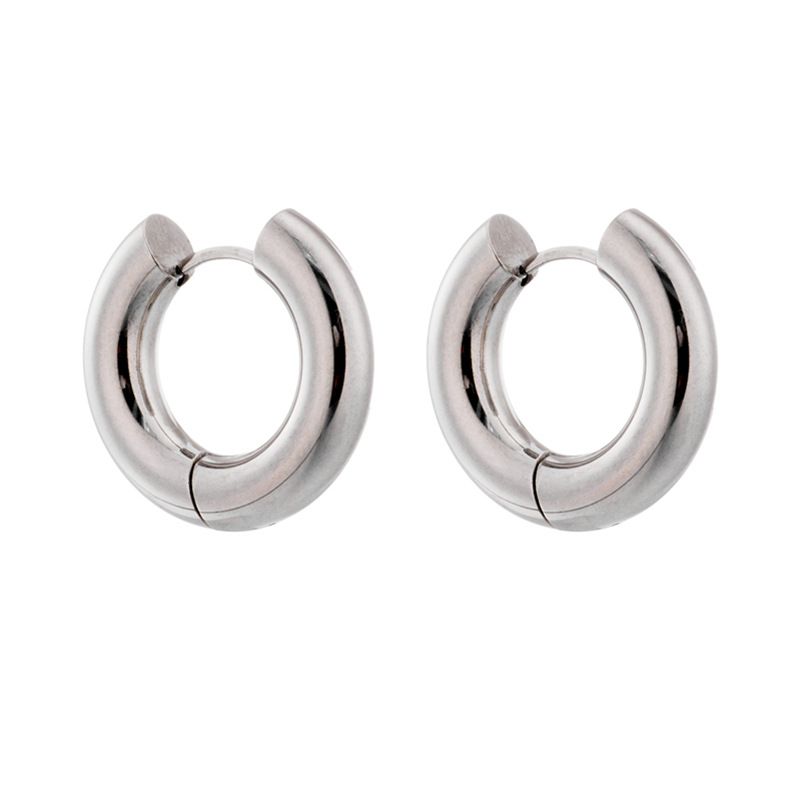 European and American fashion simple ins style metal titanium steel niche design cold style temperament versatile circle earrings_voghion.com