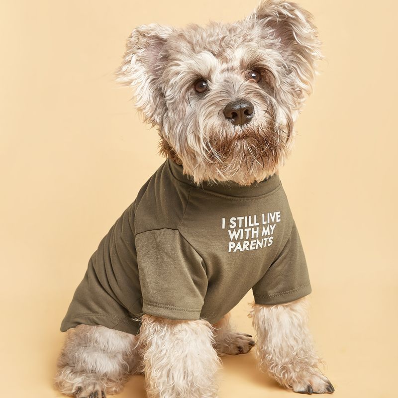 Braunes Wörtermuster-Haustier-T-Shirt - Stilvolle Haustierbekleidung für kleine und mittelgroße Hunde_voghion.com