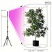 LED Plant Grow Light, Full Spectrum Standing LED Plant Growing Lamps With Timer And Adjustable Tripod Stand,Floor Lights Fit For Indoor Plants Growing_voghion.com