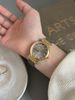 Vintage Style New Snake Head High-end Leather Strap Women's Quartz Watch Gold Live Streaming_voghion.com