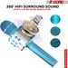 5 Core Bluetooth Wireless Karaoke Microphone 2Pcs All-in-One Portable Handheld Mic with Speaker Recorder Microfono Inalambrico - WM SPK PNK+BLU_voghion.com