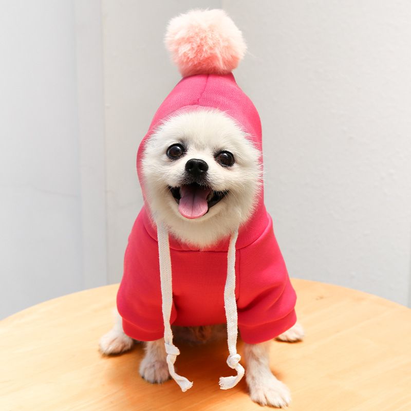Cartoon hoodie with ball, dog, cat, pet, teddy bear, French bucket, autumn winter clothes and supplies, trendy brand,_voghion.com