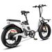 Fafrees F20 X-Max Electric Bike 20*4.0 Inch Fat Tire 750W Brushless Motor 48V 30AH Battery_voghion.com
