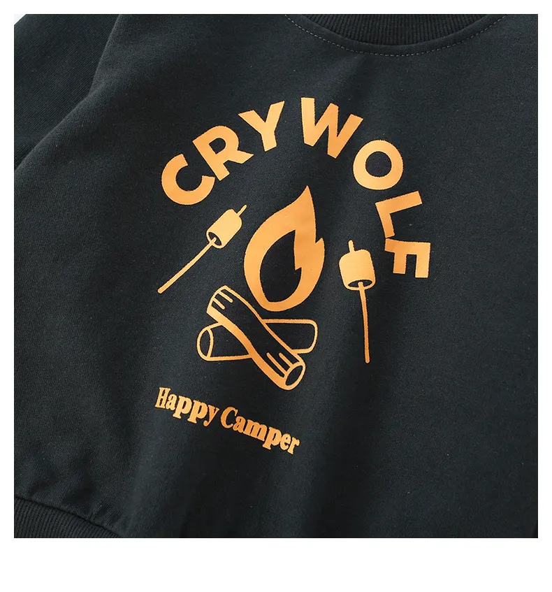 Sweat à capuche tricoté en laine pour garçon, manches longues, en coton, haut de dessin animé, vêtements d'automne pour enfants_voghion.com