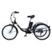 Gogobest GF100 24" Triciclo elettrico da carico 350W E-bike Batteria 36V 15Ah_voghion.com