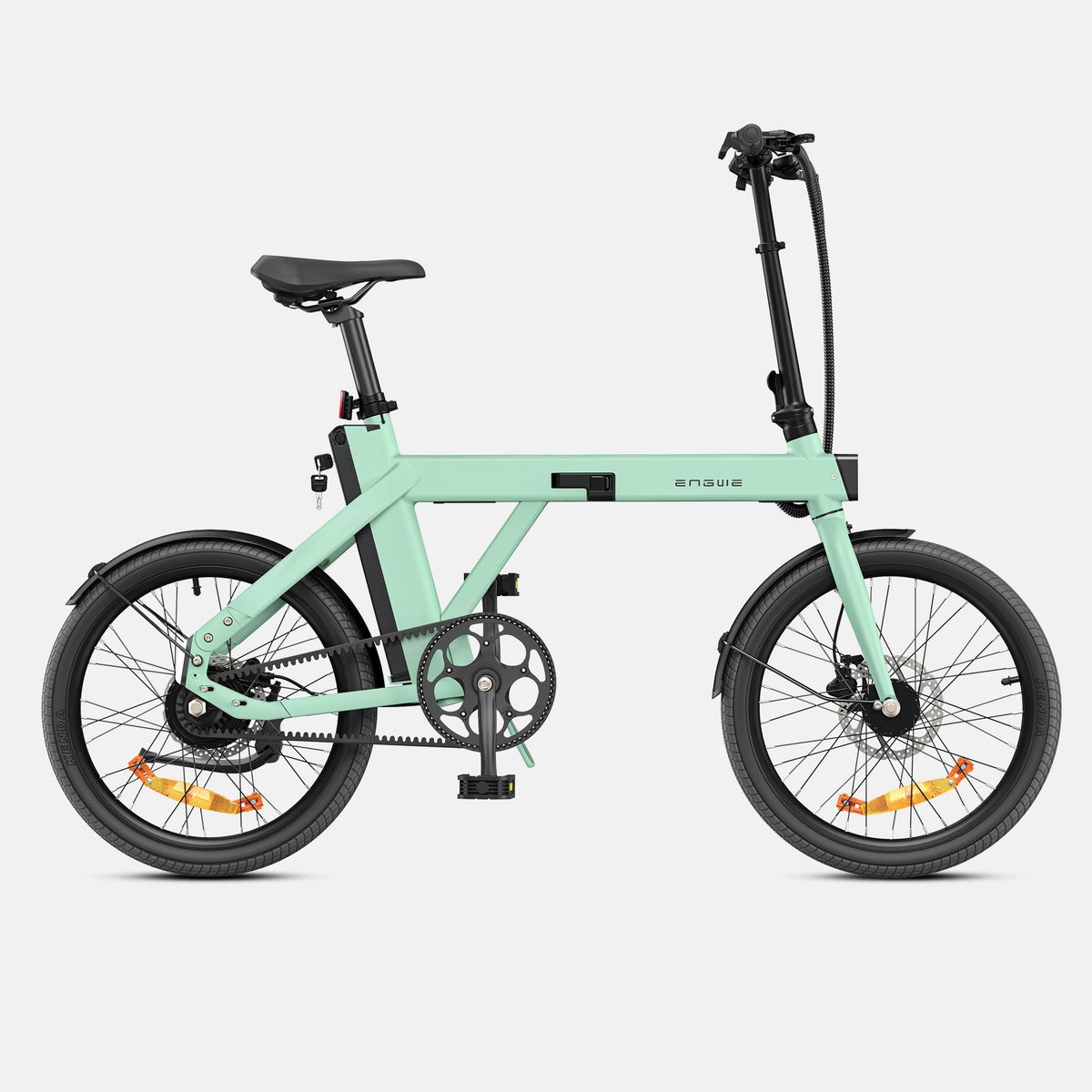 Bicicletta elettrica pieghevole ENGWE P20 da 20 pollici, motore con sensore di coppia da 250 W, batteria da 36 V e 9,6 Ah, freni a disco idraulici, bicicletta elettrica_voghion.com