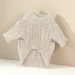 Herbst Winter Mode Pullover Hund Warme Kleidung Einfarbig Zopfmuster Pullover Nette Haustier Bekleidung_voghion.com