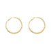 Large Hoop Earrings For Women 2023 New Style Niche Design Temperament Light Luxury Circle Plain Hoop Earrings_voghion.com