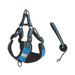 Neu Pet Weste Stil Mesh Sommer Brust Harness Hund Fuß Leine_voghion.com