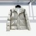 Men’s Puffer Jacket – Slim Fit Quilted Down Coat (Stand Collar, Windproof, 5 Sizes, Beige)_voghion.com