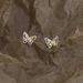 Dream Of The ~ Colorful Butterfly Zircon For Women Summer Exquisite Small Light Luxury Niche High-end Earrings_voghion.com