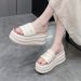Women's Summer Outdoor Trendy New High Heel Thick Sole Round Toe Platform Beach Slide Flat Slippers_voghion.com