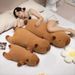 Plush Capybara Adorable Doll Soft Toy Cozy Pillow For Relaxing Home At Comfort_voghion.com