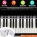 Piano Keyboard Stickers Removable Piano Key Labels PVC Piano Notes Guide without Glue for Beginners Kids_voghion.com