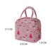 3-teiliges Set funktionaler, gemusterter Kühl-Lunchboxen aus isoliertem Canvas für Damen und Kinder – ideal für Picknicks._voghion.com