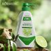 KORMESIC Tea Tree Refreshing Oil Control Shampoo 500ml Shampoo_voghion.com