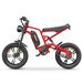 Hidoes B6 Bicicleta elétrica para adultos 1200W, 20" Off Road Mountain Bike com bateria de 48V 15,6Ah Suspensão total_voghion.com