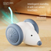 Smart Toy Self-Entertainment Electric Mouse Racing Car Automatic Teaser Wand Cat Chewing Artifact_voghion.com