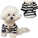 Hundeaccessoires für kleine Hunde, Sweatshirt, Mops-Kleidung, Haustierbedarf für Chihuahuas, Anzug, süßes Kleid, Luxusmantel, mittelgroß, York_voghion.com