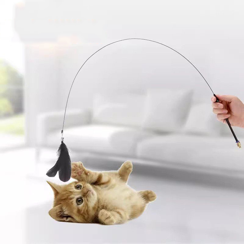 Cat teasing stick, long steel wire pole, with feathers, equipped with strong suction cups, can be held in hand_voghion.com