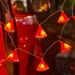 Christmas Fruit LED String Lights - Lemon, Lime, Orange, Watermelon, Banana Slices For Indoor & Outdoor Decor_voghion.com