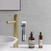 2-in-1 Self-Adhesive Toothbrush Holder - Wall Mounted, Waterproof, With Gargle Cup Hook EU_voghion.com