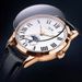 Carnival Brand I&W High-end Series Luxury MIYOTA Movement Mechanical Watch Men Leather Strap Week Date Automatic Watches Mens_voghion.com