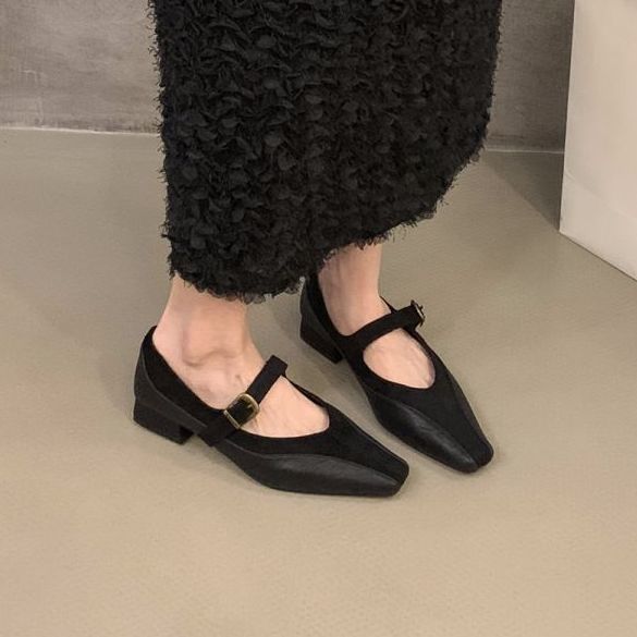 Sharp Pointed Niche Versatile Thick Heel Splicing Black Commuting Single Shoe Women's Spring Autumn French Mary Jane_voghion.com