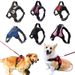 Arnés pequeño, mediano y grande, chaleco resistente para perros, tienda de mascotas, todo para perros, golden retriever, chihuahua, de PawParty Store_voghion.com
