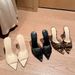 Zomerpantoffels voor dames, modieuze sandalen voor buiten, nieuwe lente- en zomerschoenen met hoge, dunne hoge hak, spitse neus, modieus en veelzijdig_voghion.com