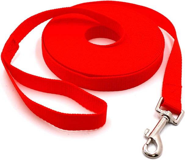 10m Für Hunde, Wasserdicht Hundeleine Mit Handschlaufe Und 360° Karabiner, Robuste Ausbildungsleine Schleppleine Für Mittlere Große Kleine Hunde (Ro_voghion.com