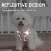 New Pet Harness Reflective Plaid Edge Small And Medium Vest Style Dog Leash_voghion.com