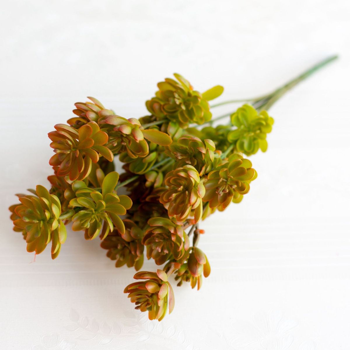 Factory direct sales Simulation spray color lotus succulent plants Decorative green plants_voghion.com