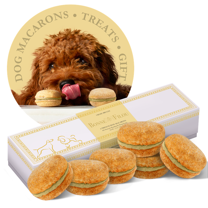 Dog Macarons - Count of 6 (Dog Treats | Dog Gifts)_voghion.com