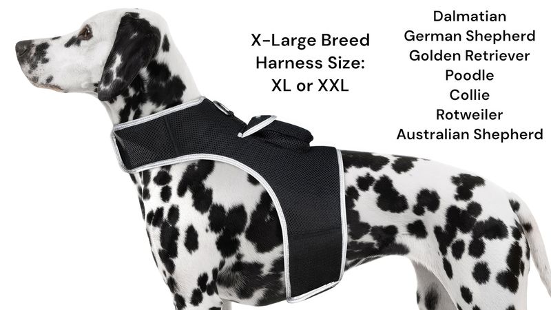 Detailed & Realtime GPS Tracking Dog Collar Water Resilient Gadget Rechargeable Size:L_voghion.com