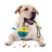 Pet Rubber Teeth Cleaning Dog Chew Durable Treat Dispensing Ball Pull Rope Teething Toy For Cats And Dogs_voghion.com