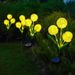 Solar-Powered LED Dandelion String Lights – Waterproof Garden Decor With Warm/Colorful Options For Patio, Yard & Events_voghion.com