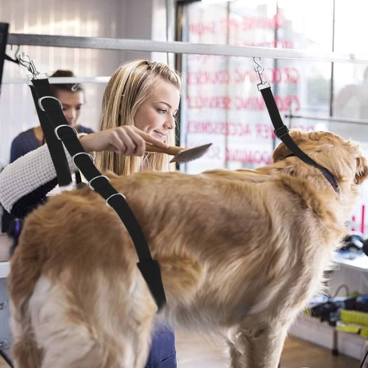 3pcs /Set Pet Bathing Beauty Table Fixed Lanyard Dog Tow Rope_voghion.com