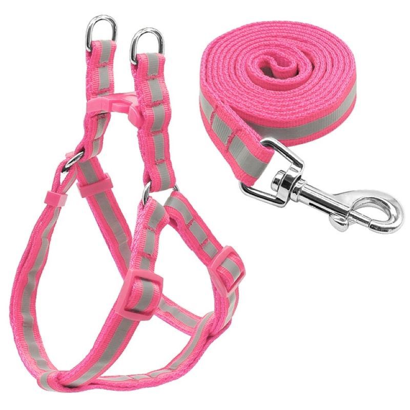 Ensemble de laisses réfléchissantes en nylon pour chiens de petite et moyenne taille_voghion.com