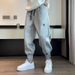 Men's Clothing Four Seasons Thickened Regular Sports Pants Men's Handsome Trendy Design Harem Pants Plus Velvet Casual Cuffed Sweatpants_voghion.com