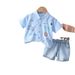 2024 New Children's Clothing Summer Baby 0-5 Year Old Cartoon Short sleeved Shirt Shorts Two piece Set_voghion.com