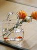 Trendy Creative Bag Handheld Basket Glass Transparent Hydroponic Arrangement Vase Flower Container Table Decoration_voghion.com