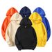 Fashion Men's Hoodie Casual Hoodies Sweatshirts Men's Top Solid Color Hoodies Sweatshirt Male_voghion.com