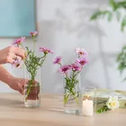 Läbipaistev_voghion