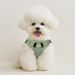 Small For Medium Dogs, Chest Harness Leash, Teddy Dog Leash_voghion.com