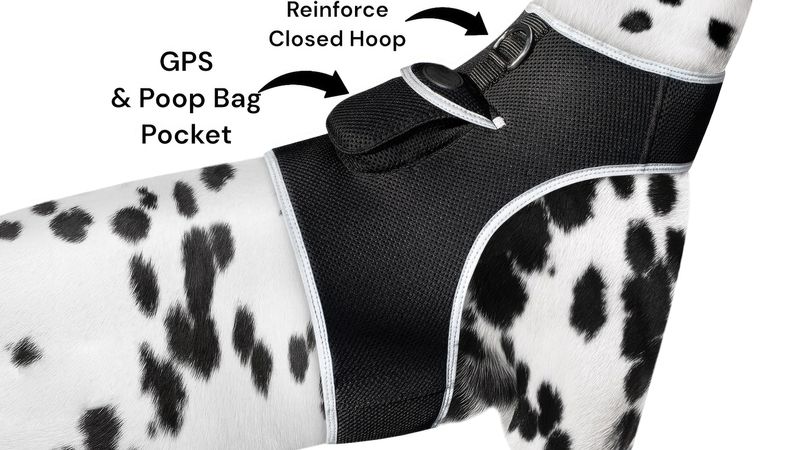 Rechargeable Pocket GPS GSM Tracking Collars for Hunting Dogs Realtime Size:M_voghion.com