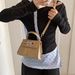2025 New Simple Retro Women's Bag Fashion Casual Handheld Crossbody Small Square Bag Commuter Bag_voghion.com