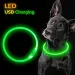 Glowing USB Dog Collar By PawParty Store_voghion.com