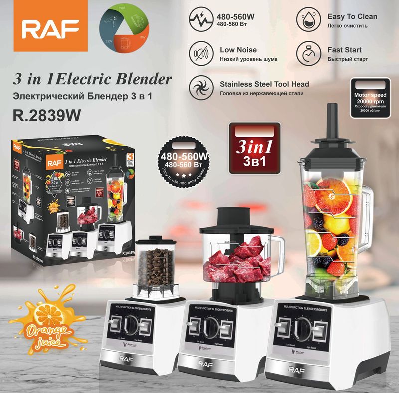 RAF EU Standard Multifunctional 3-in-1 Juicer Home Food Processor Meat Powder Grinder_voghion.com
