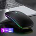 Rechargeable Silent Wireless Mouse – Bluetooth & 2.4G Dual-Mode, 1600DPI, Ergonomic Design For Laptop/PC_voghion.com